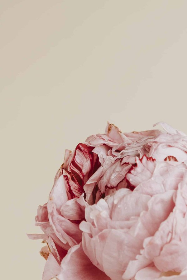 How Can You Style Pastel Trousers Without Looking Too Informal in a Traditional Office?